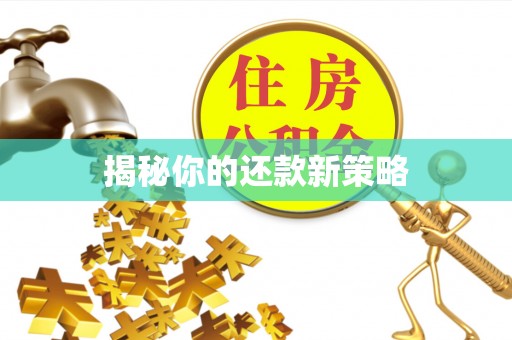 乡宁揭秘你的还款新策略
